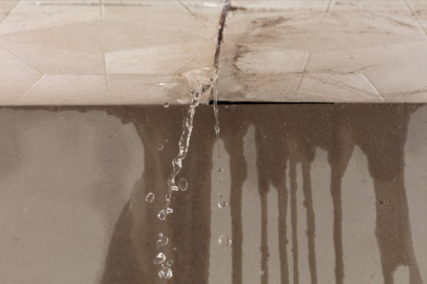Professional Water Damage Inspection technician working in Lakemore, OH